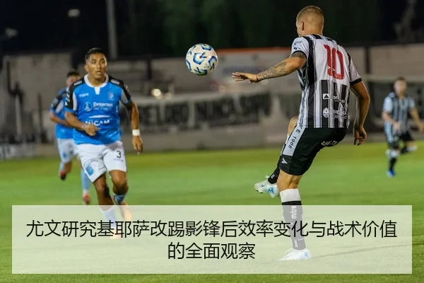 you-wen-yan-jiu-ji-ye-sa-gai-ti-ying-feng-hou-xiao-lv-bian-hua-yu-zhan-shu-jia-zhi-de-quan-mian-guan-cha-2-894.jpg